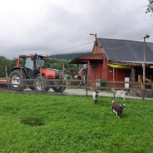 Où,-quand-et-comment-camper-à-Bergen-?